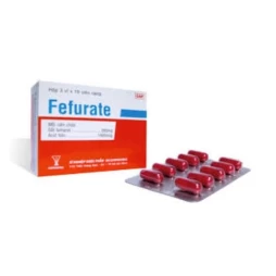 Fefurate - Thuốc điều trị thiếu máu do thiếu sắt của Armepharco